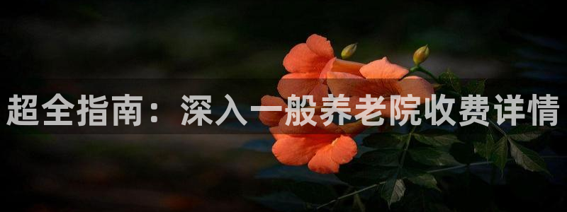 1946韦德官方网站