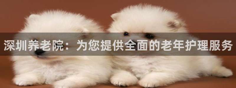 韦德网站是多少