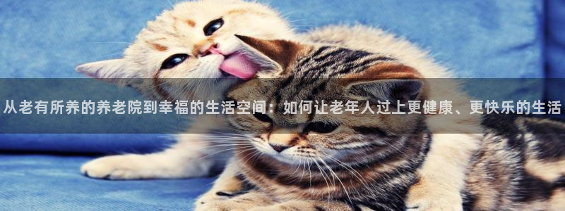 1946韦德官网