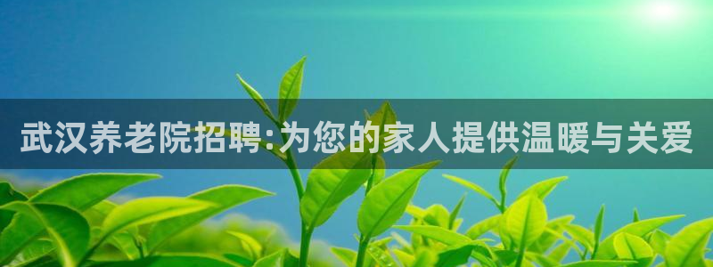 韦德网址