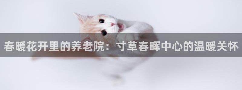 韦德的游戏