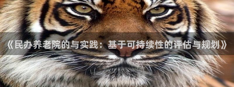 韦德游戏注册需要什么