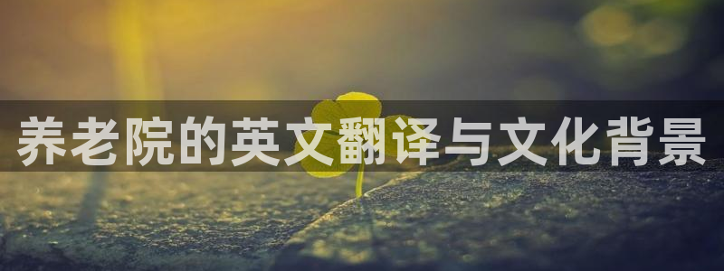 韦德8月22日开启中国行