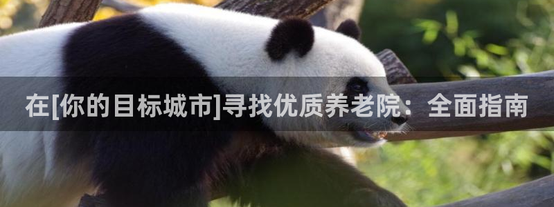 韦德网站官网