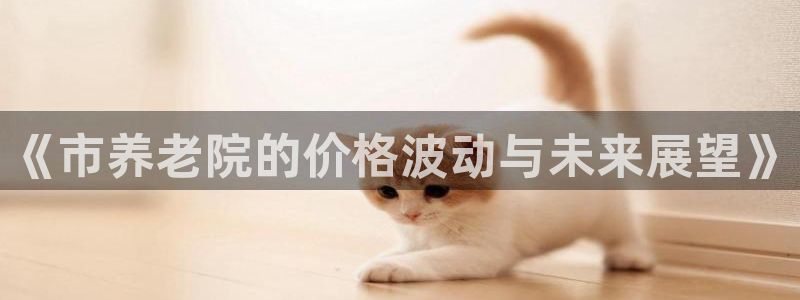 韦德网址